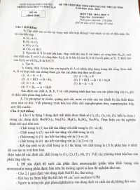 Đề thi chọn HSG môn Hóa Học lớp 9 thành phố Cẩm Phả tỉnh Quảng Ninh năm 2023