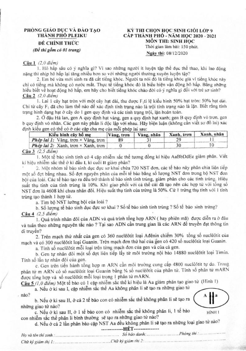 Đề thi chọn HSG môn Sinh học lớp 9 tại Pleiku năm 2021