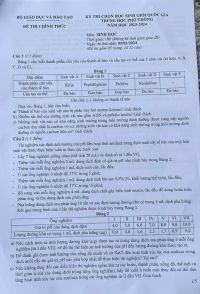Đề thi chọn HSG quốc gia môn Sinh học THPT ngày 5/1/2024