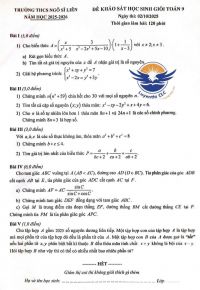 Đề khảo sát HSG Toán 9 - THCS Ngô Sĩ Liên năm 2025