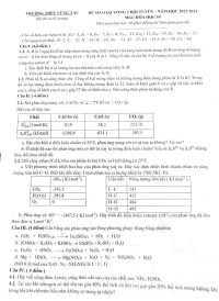 Đề thi loại đội tuyển HSG môn Hóa Học 10 Trường THPT Vũng Tàu năm 2023