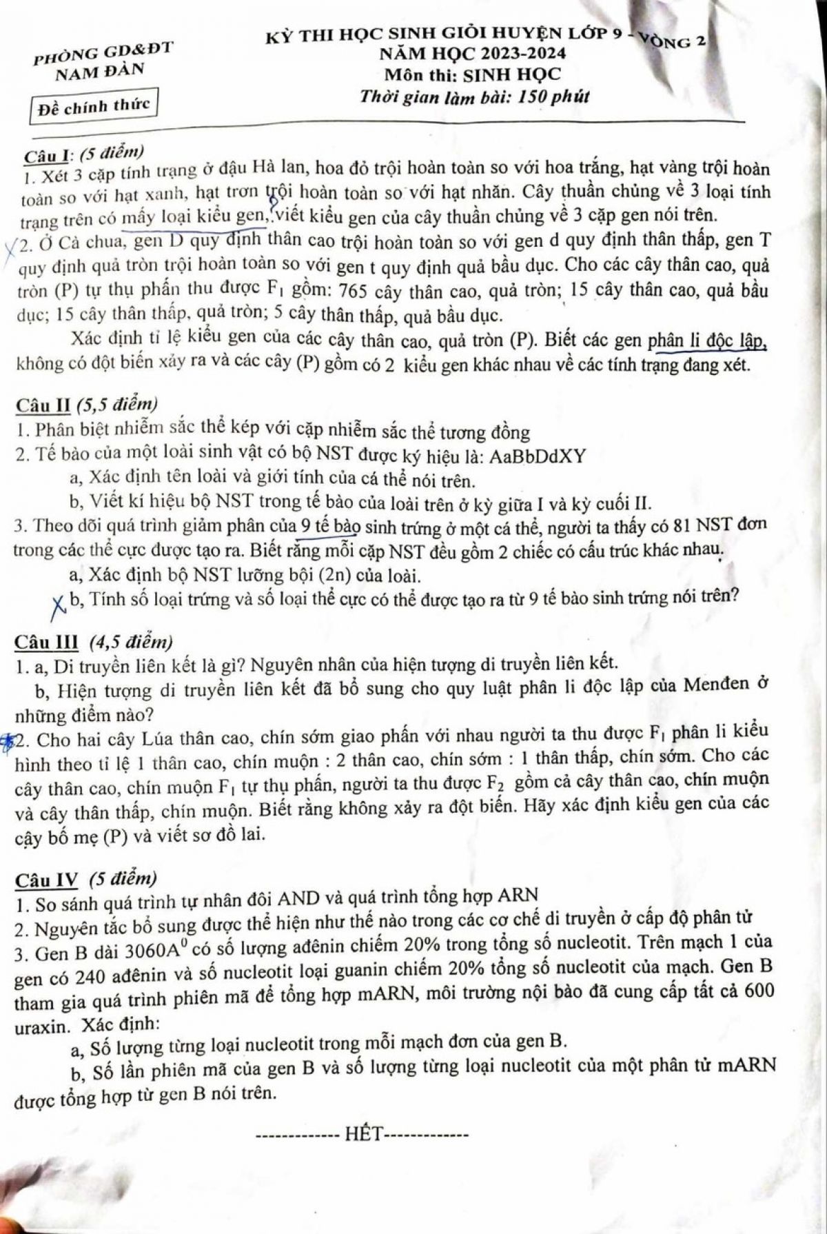 Đề thi chọn HSG môn Sinh học lớp 9 vòng 2 huyện Nam Đàn tỉnh Nghệ An năm 2023