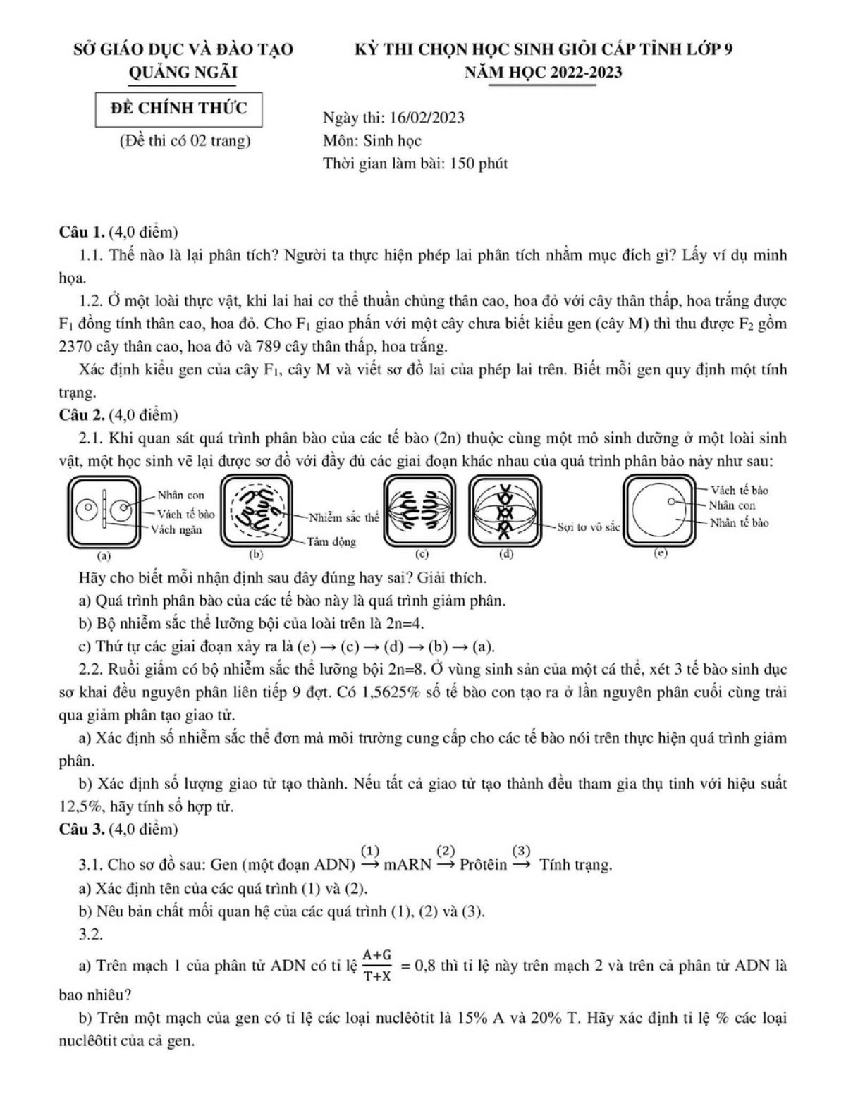 Đề thi chọn HSG môn Sinh học lớp 9 tỉnh Quảng Ngãi năm 2023