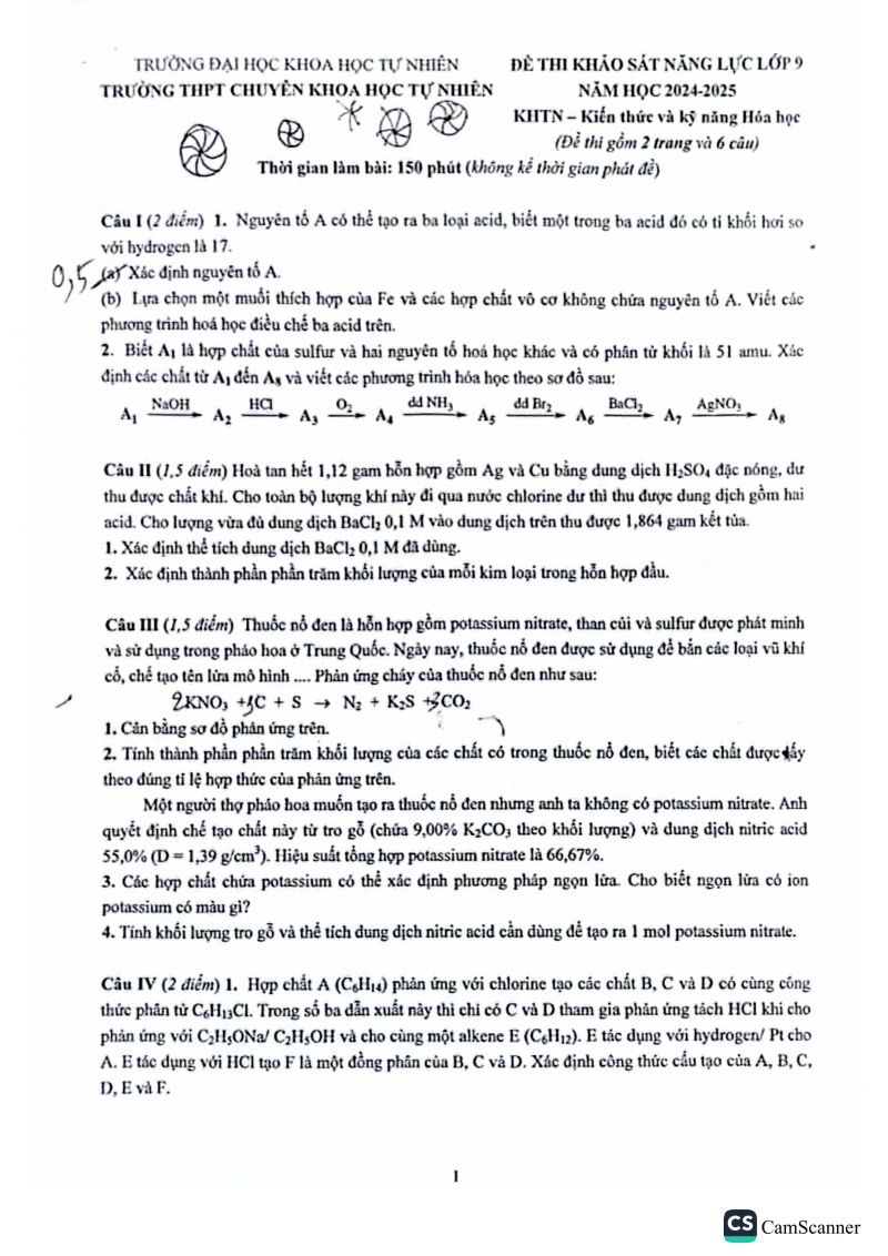 Đề khảo sát năng lực môn Hóa lớp 9 - THPT Chuyên KHTN năm 2024-2025