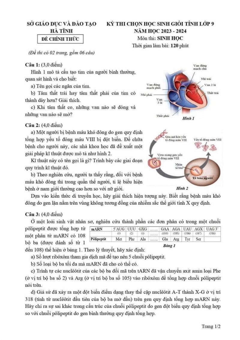 Đề thi chọn HSG môn Sinh học lớp 9 tỉnh Hà Tĩnh năm 2023