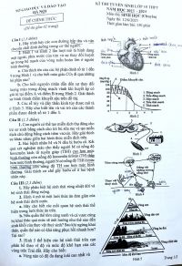 Đề thi tuyển sinh vào lớp 10 THPT môn Sinh học (Chuyên) tại Hà Nội năm 2023