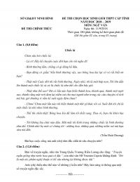 Đề thi chọn HSG THPT cấp tỉnh m&ocirc;n Ngữ Văn tỉnh Ninh B&igrave;nh năm 2018