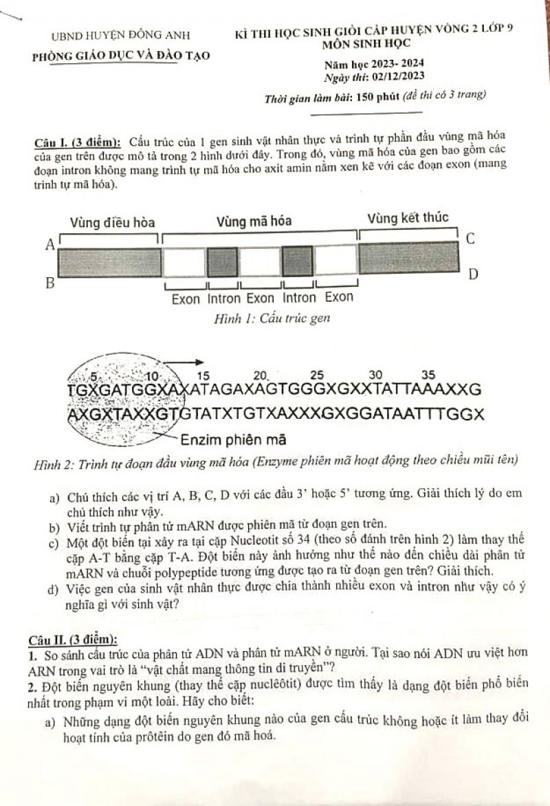 Đề thi chọn HSG môn Sinh học lớp 9 huyện Đông Anh, Hà Nội năm 2023