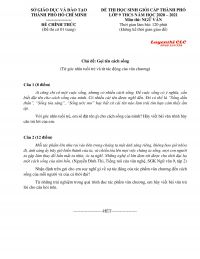 Đề thi HSG m&ocirc;n Ngữ Văn lớp 9 tại Th&agrave;nh phố Hồ Ch&iacute; Minh năm 2020