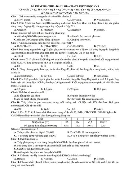 Đề kiểm tra thử đánh giá chất lượng học kì I môn Hóa Học