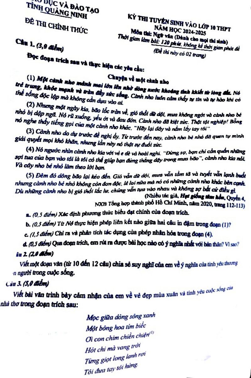 Đề thi vào lớp 10 THPT môn Ngữ Văn tỉnh Quảng Ninh năm 2024-2025