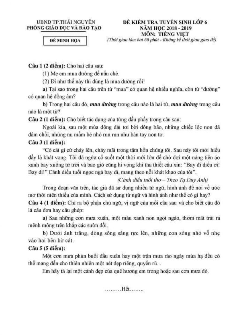 Đề tuyển sinh v&agrave;o lớp 6 m&ocirc;n Tiếng Việt tỉnh Th&aacute;i Nguy&ecirc;n năm 2018