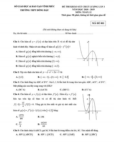 Đề thi khảo sát chất lượng môn Toán lớp 12 lần 1 Trường THPT Đồng Đậu tỉnh Vĩnh Phúc  năm 2019