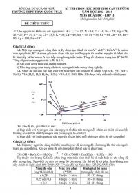 Đề thi chọn HSG và đáp án môn Hóa Hóa lớp 11 Trường THPT Trần Quốc Tuấn tỉnh Quảng Ngãi năm 2023