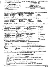 Đề thi thử vào 10 THPT môn Tiếng Anh theo CT GDPT 2018- Trường Đại học Ngoại Ngữ