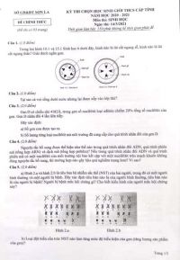 Đề thi chọn HSG môn Sinh học cấp THCS tỉnh Sơn La năm 2021
