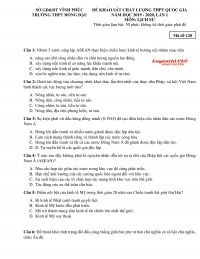 Đề khảo s&aacute;t chất lượng THPT Quốc Gia m&ocirc;n Lịch Sử lần 1 Trường THPT Đồng Đậu tỉnh Vĩnh Ph&uacute;c năm 2019