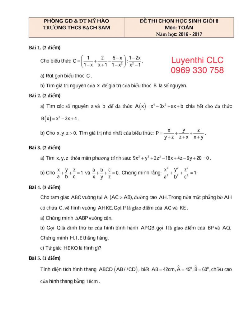 Đề thi chọn HSG môn Toán lớp 8 Trường THCS Bạch Sam năm 2016