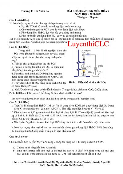 Đề thi khảo sát HSG Hóa cấp trường lần 1 - THCS Xuân La năm 2024