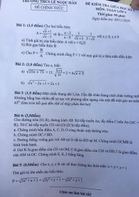 Đề kiểm tra giữa k&igrave; I m&ocirc;n To&aacute;n lớp 9 Trường THCS L&ecirc; Ngọc H&acirc;n năm 2020