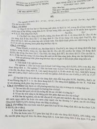 Đề thi chọn HSG môn Hóa Học lớp 9 Trường THCS THSP Lý Tự Trọng tỉnh Kon Tum năm 2023