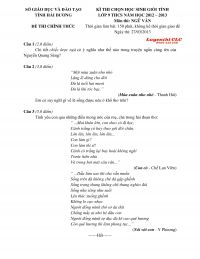 Đề thi chọn HSG tỉnh lớp 9 THCS m&ocirc;n Ngữ Văn tỉnh Hải Dương năm 2013