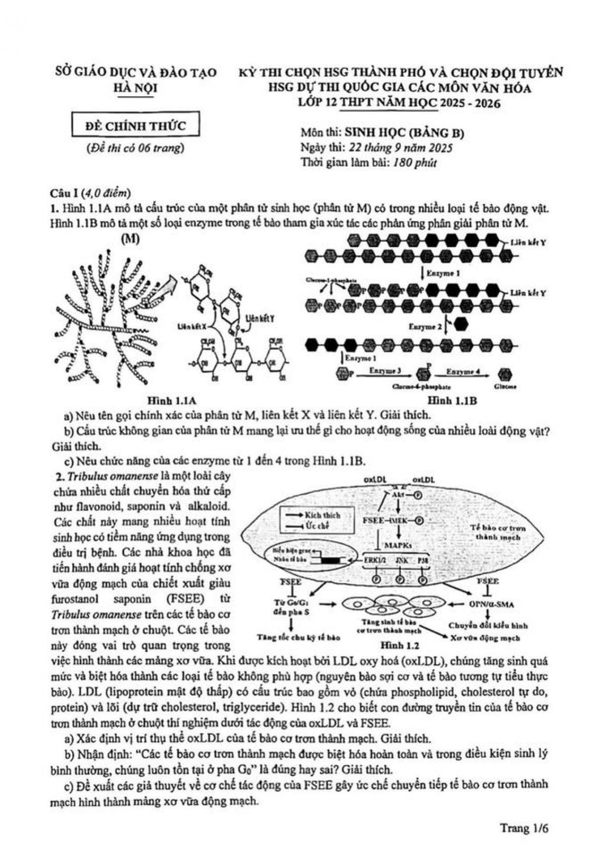 ĐỀ THI CHỌN HSG THÀNH PHỐ VÀ CHỌN ĐỘI TUYẾN HSG DỰ THI QUỐC GIA CÁC MÔN VĂN HÓA LỚP 12 THPT NĂM HỌC 2025 - 2026  Môn thi_ HÓA HỌC (BÁNG B) - Sở GD&amp;ĐT Hà Nội