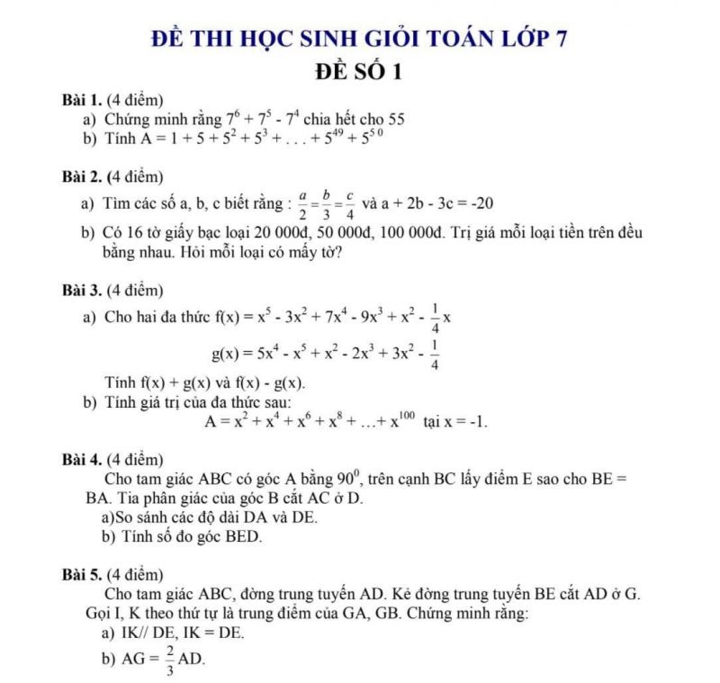 Đề thi HSG môn Toán lớp 7