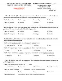 Đề khảo s&aacute;t chất lượng lần 1 m&ocirc;n Tiếng Anh lớp 12 tỉnh Vĩnh Ph&uacute;c năm 2020