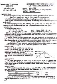 Đề thi chọn HSG Hóa lớp 9 tỉnh Bình Định năm 2024