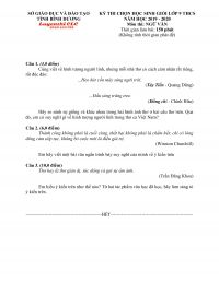 Đề thi chọn HSG m&ocirc;n Ngữ Văn lớp 9 tỉnh B&igrave;nh Dương năm 2019