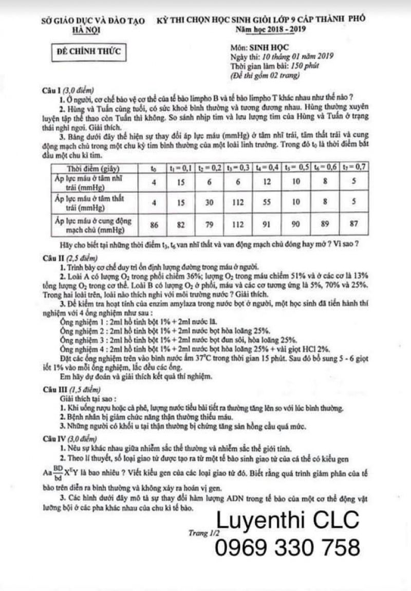 Đề thi chọn HSG lớp 9 cấp th&agrave;nh phố m&ocirc;n Sinh học tại H&agrave; Nội năm 2019