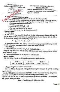 Đề thi chọn HSG lớp 9 môn KHTN ( Sinh học)_ thị xã Điện Bàn- Quảng Nam năm 2024-2025