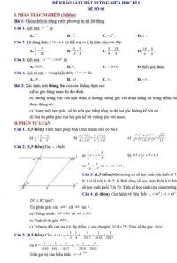 Đề thi khảo sát chất lượng giữa học kì I môn Toán lớp 7. Đề số 08