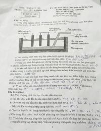 Đề thi chọn HSG môn Hóa Học lớp 9 huyện Củ Chi, thành phố Hồ Chí Minh năm 2023