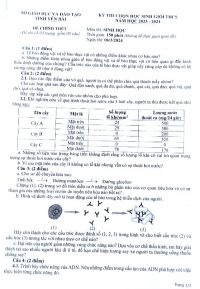 Đề thi chọn HSG môn Sinh học cấp THCS tỉnh Yên Bái năm 2024