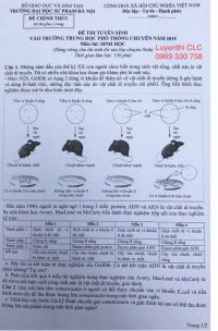 Đề thi tuyển sinh lớp 10 trường THPT CHUY&Ecirc;N năm 2019 m&ocirc;n Sinh học