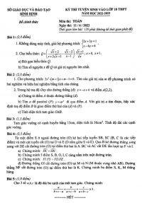 Đề thi tuyển sinh vào lớp 10 THPT môn Toán tỉnh Bình Định năm 2022