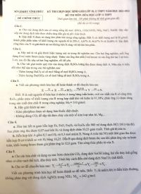 Đề thi chọn HSG môn Hóa Học lớp 11 THPT tỉnh Vĩnh Phúc năm 2022