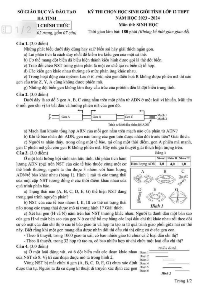 Đề thi chọn HSG môn Sinh học lớp 12 tỉnh Hà Tĩnh năm 2023