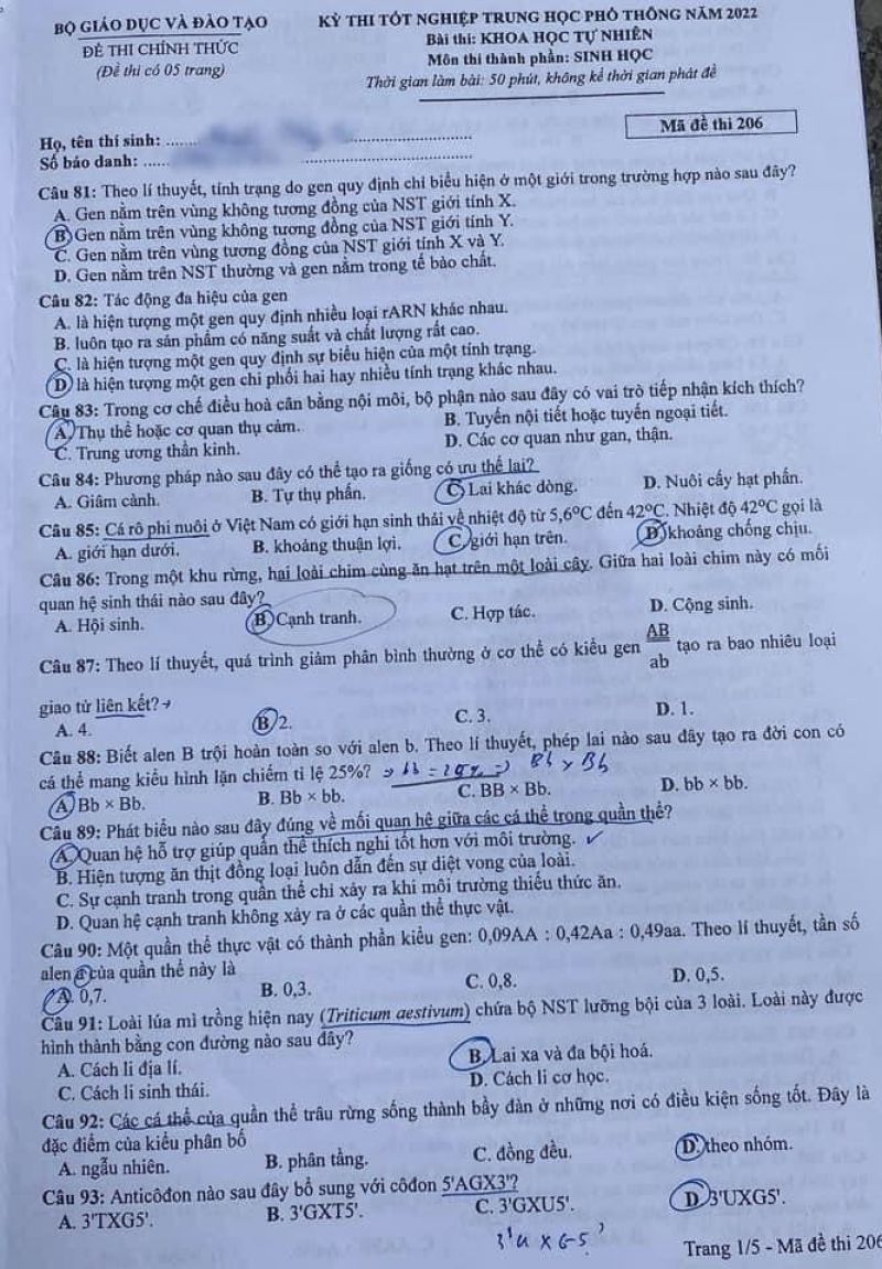 Đề thi tốt nghiệp THPT Quốc Gia môn Sinh học năm 2022, Mã đề 206