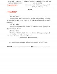 Đề kiểm tra chuy&ecirc;n đề lần 2 m&ocirc;n Lịch Sử 12 Trường THPT Liễn Sơn tỉnh Vĩnh Ph&uacute;c năm 2015