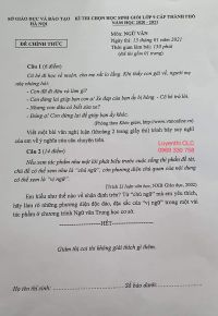 Đề thi chọn HSG cấp thành phố môn Ngữ Văn lớp 9 tại Hà Nội năm 2021