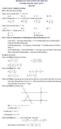 Đề thi khảo sát chất lượng giữa học kì I môn Toán lớp 7 năm 2021. Đề số 09